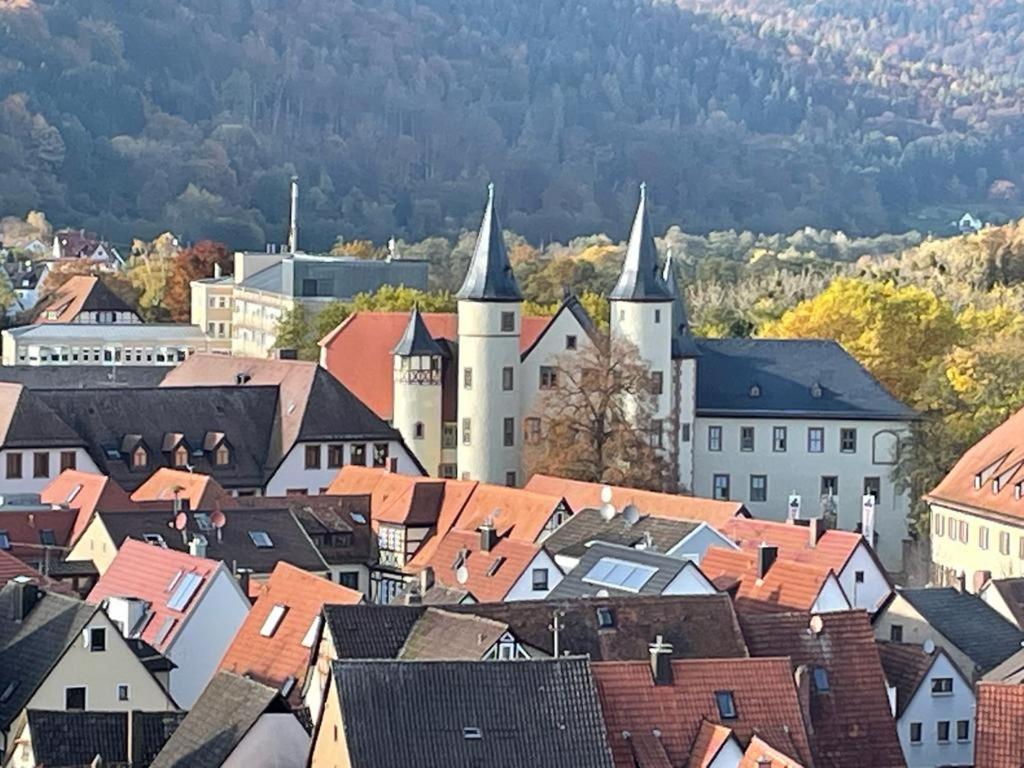 Apartamento Wohnen Im Springerhof Lohr Exterior foto